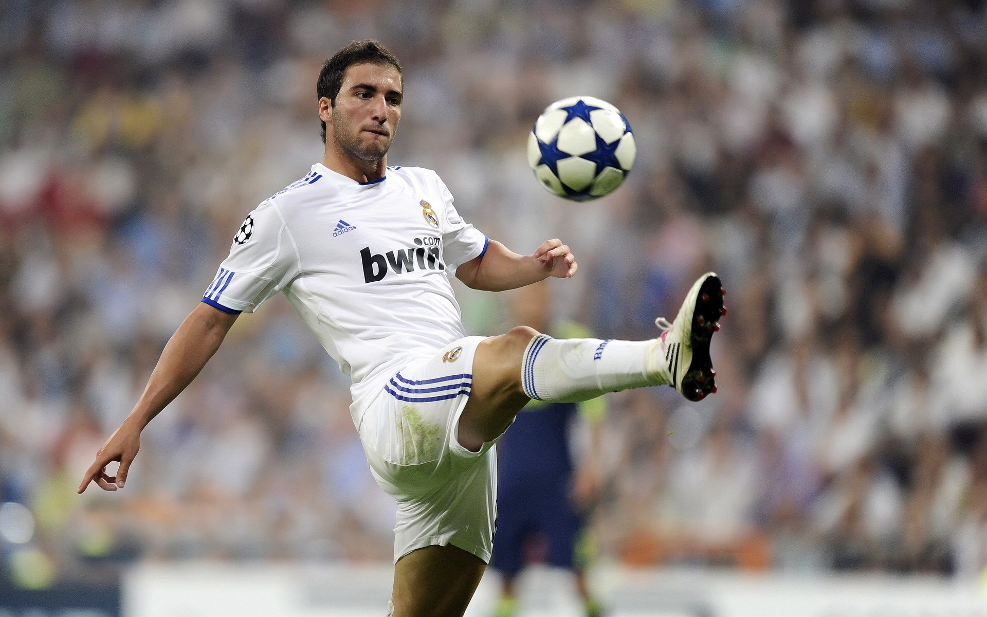 AC米兰体育-体育纪录片展播周引发大众运动热情，体育纪录片有哪些