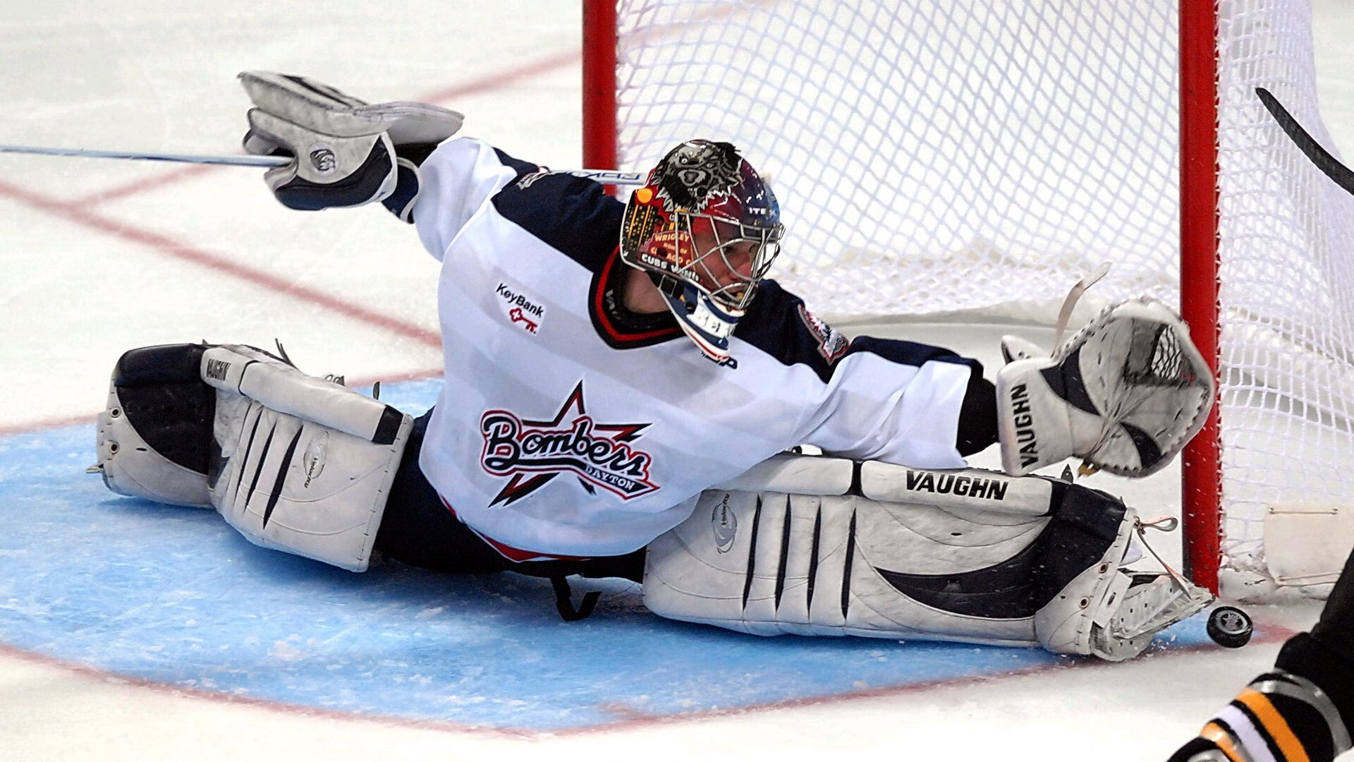 体育赛事观众数据统计报告