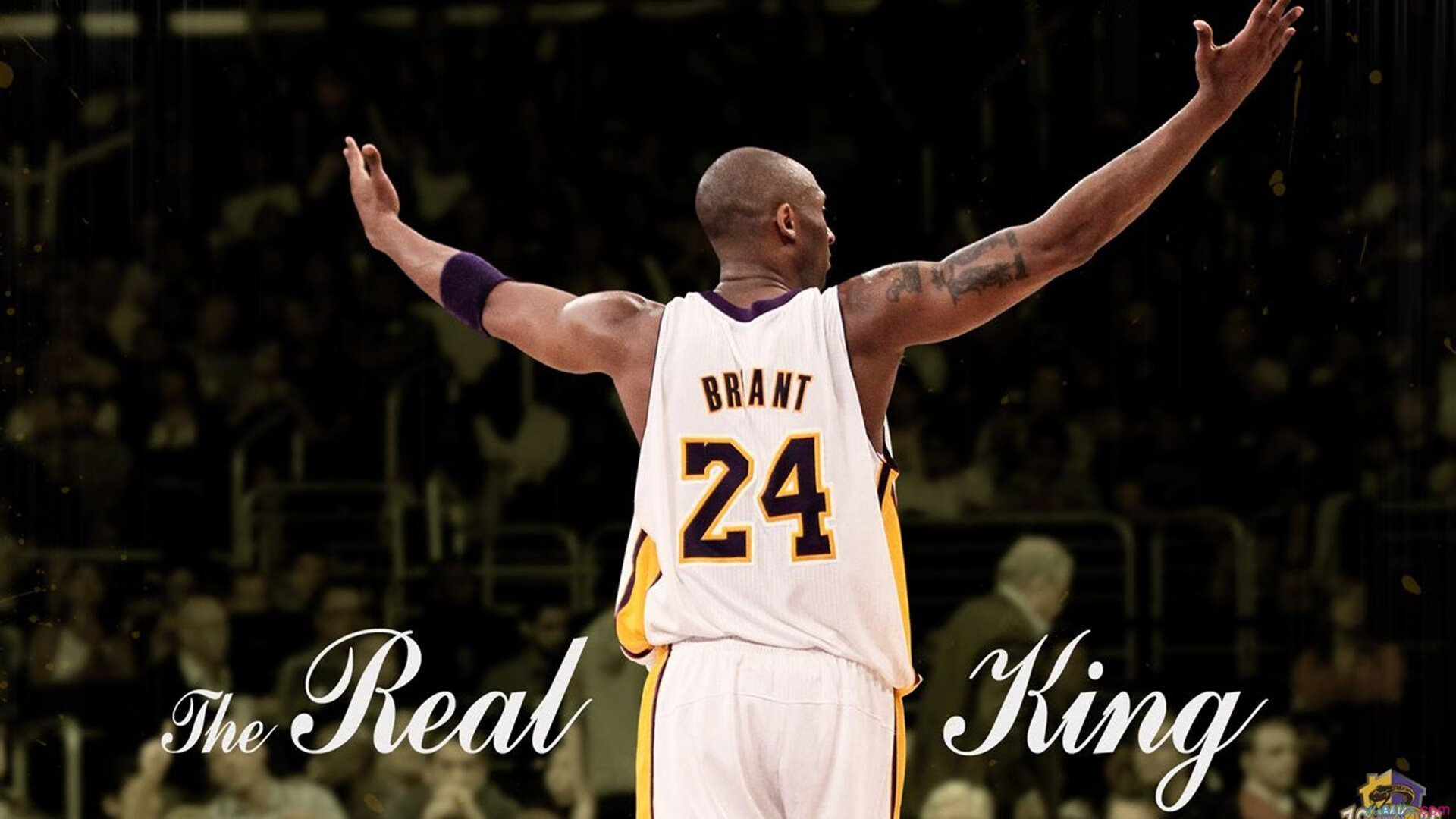 综合体育系“赛后恢复拉伸比赛” 比拼动作规范度和到位程度